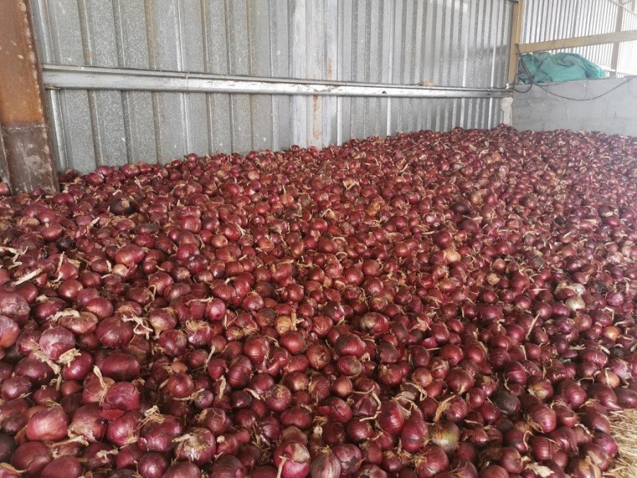 0 Bedroom Property for Sale in Beaufort West Rural Western Cape